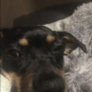 Meet your Posher, Sequoia